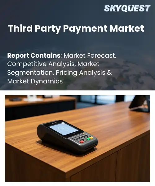 Third Party Payment Market