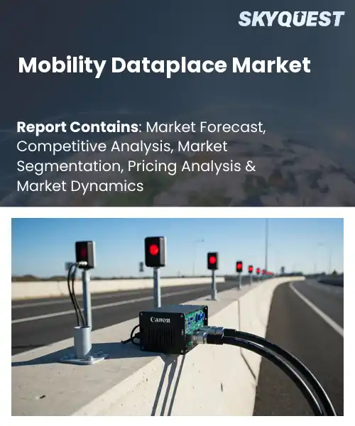 Mobility Dataplace Market