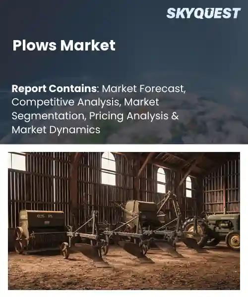 Plows Market