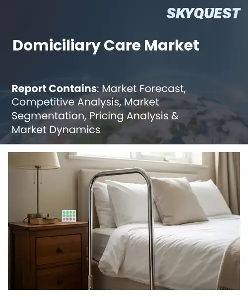 Domiciliary Care Market
