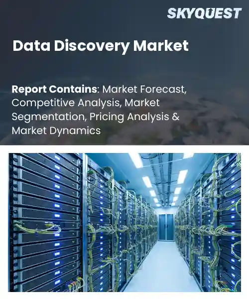 Data Discovery Market