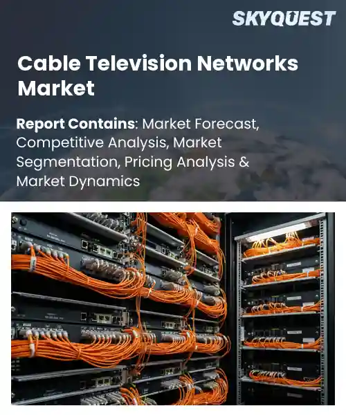 Cable Television Networks Market