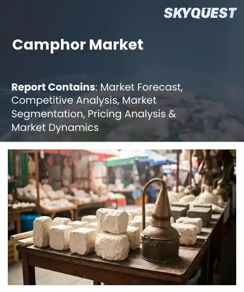 Camphor Market