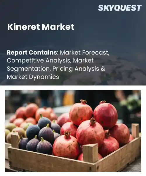 Kineret Market