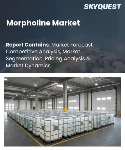 Morpholine Market