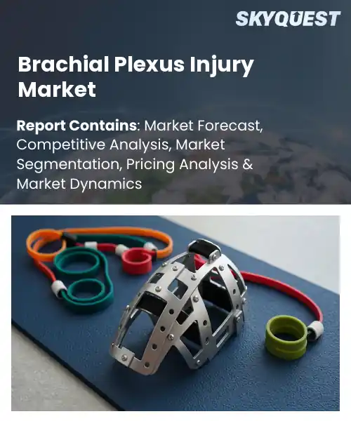 Brachial Plexus Injury Market
