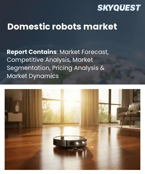 Domestic robots market