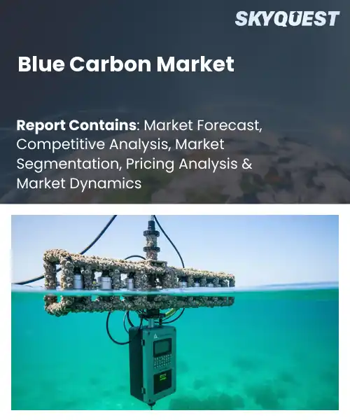 Blue Carbon Market