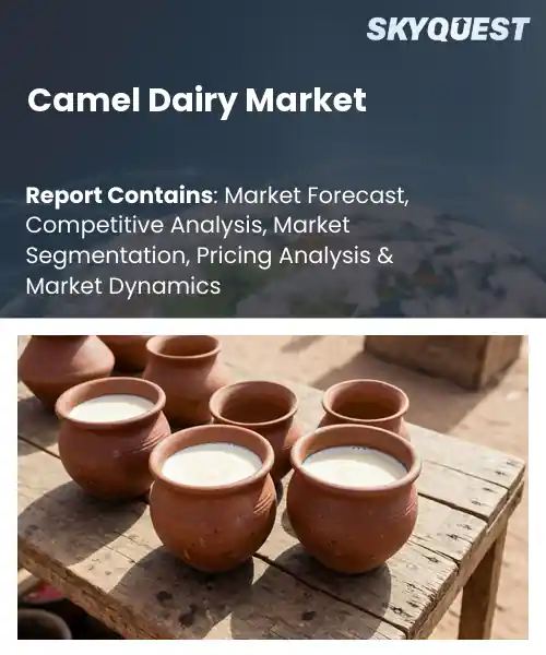 Camel Dairy Market