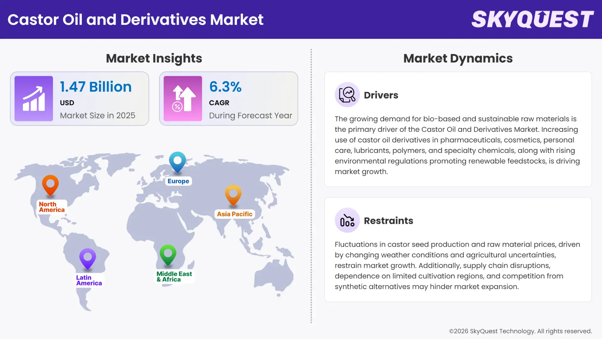 Castor Oil and Derivatives Market Insights