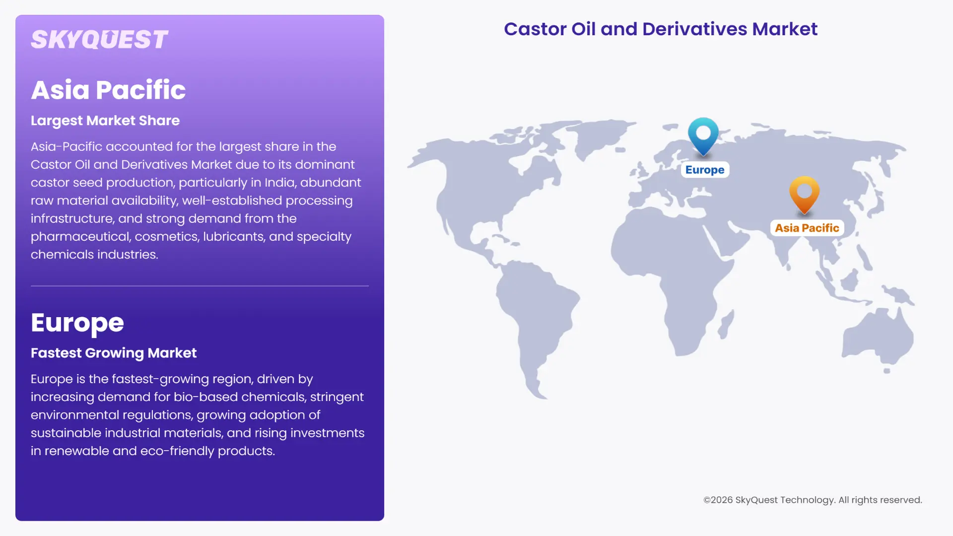 Castor Oil and Derivatives Market Regional Analysis
