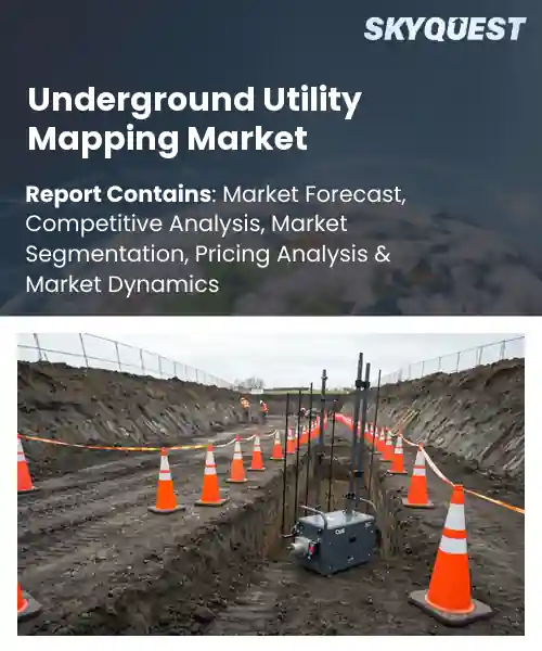 Underground Utility Mapping Market