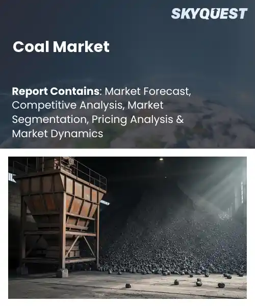 Coal Market