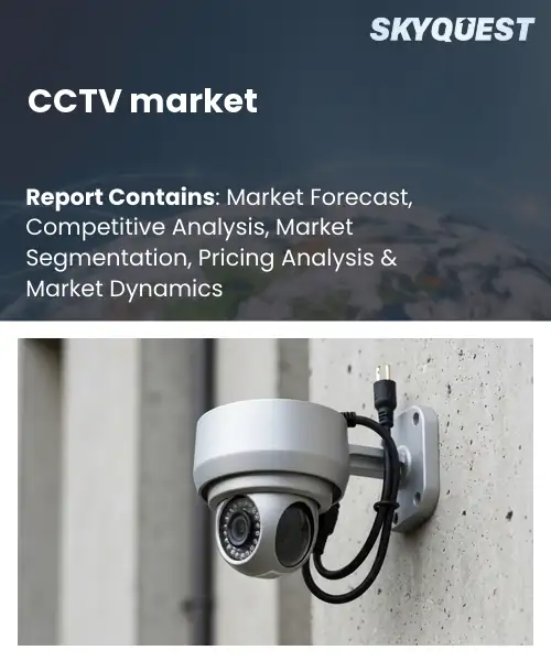 CCTV market