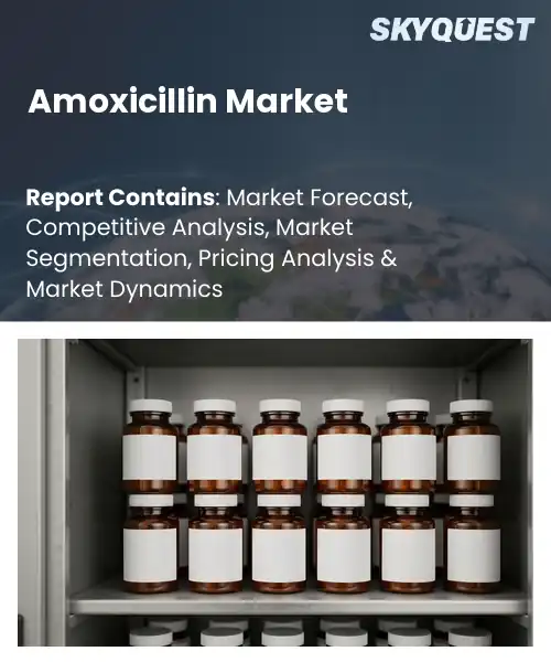 Amoxicillin Market