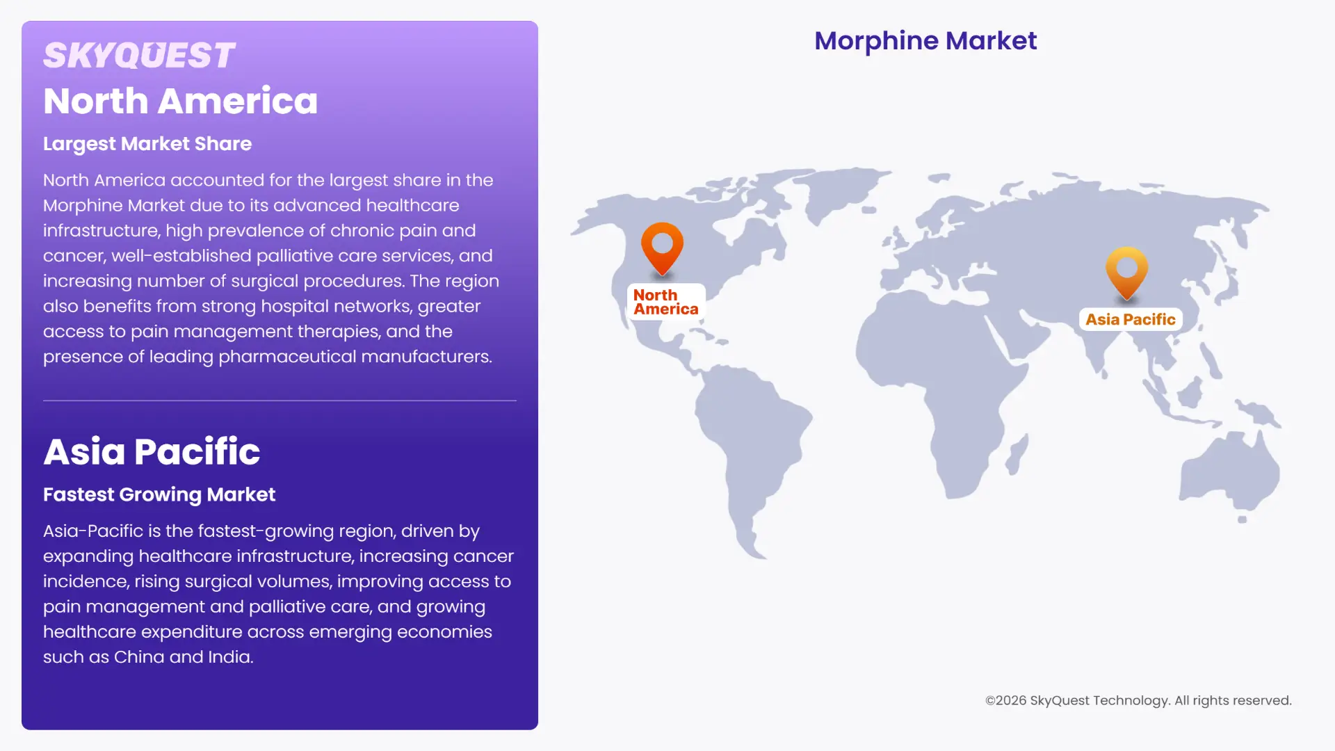 Morphine Market Regional Analysis