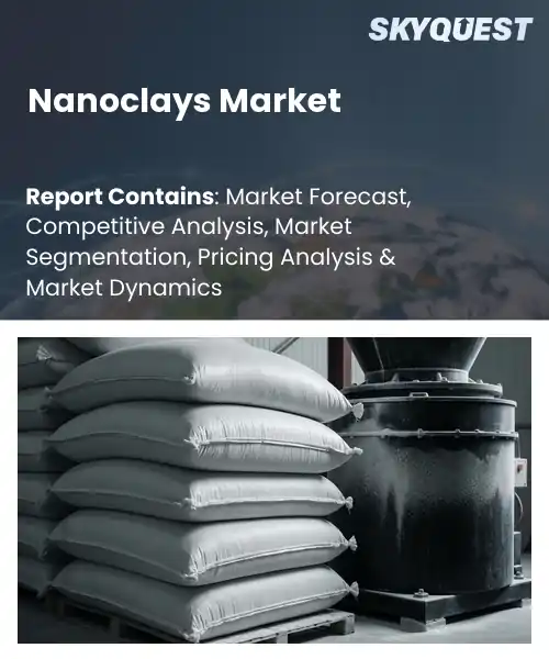 Nanoclays Market
