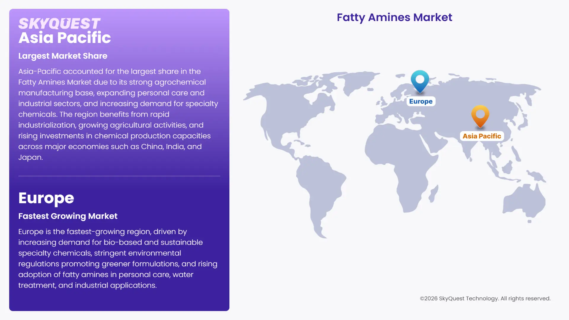 Fatty Amines Market Regional Analysis