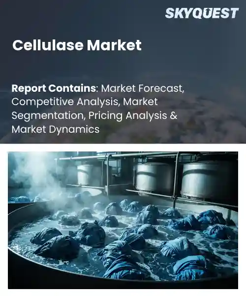 Cellulase Market