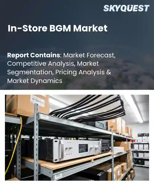 In-Store BGM Market