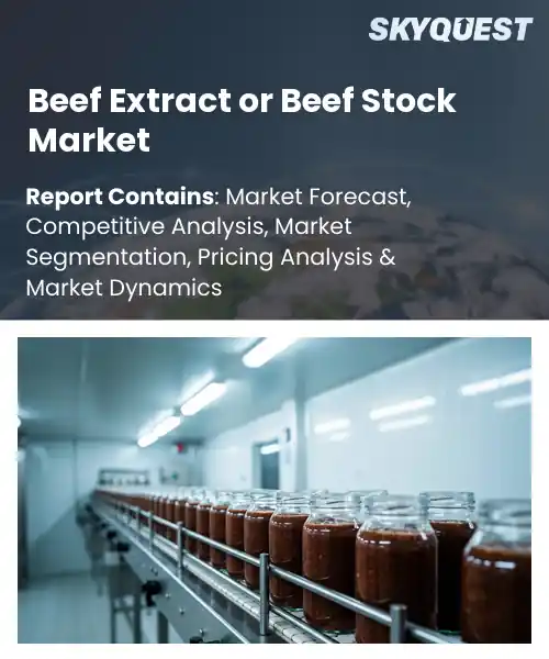 Beef Extract or Beef Stock Market