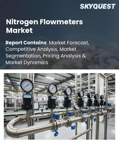 Nitrogen Flowmeters Market