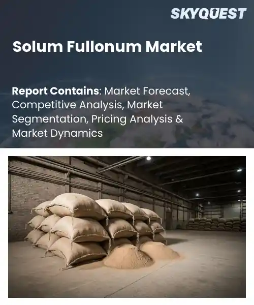 Solum Fullonum Market