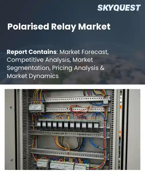 Polarised Relay Market