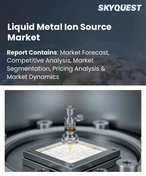 Liquid Metal Ion Source Market
