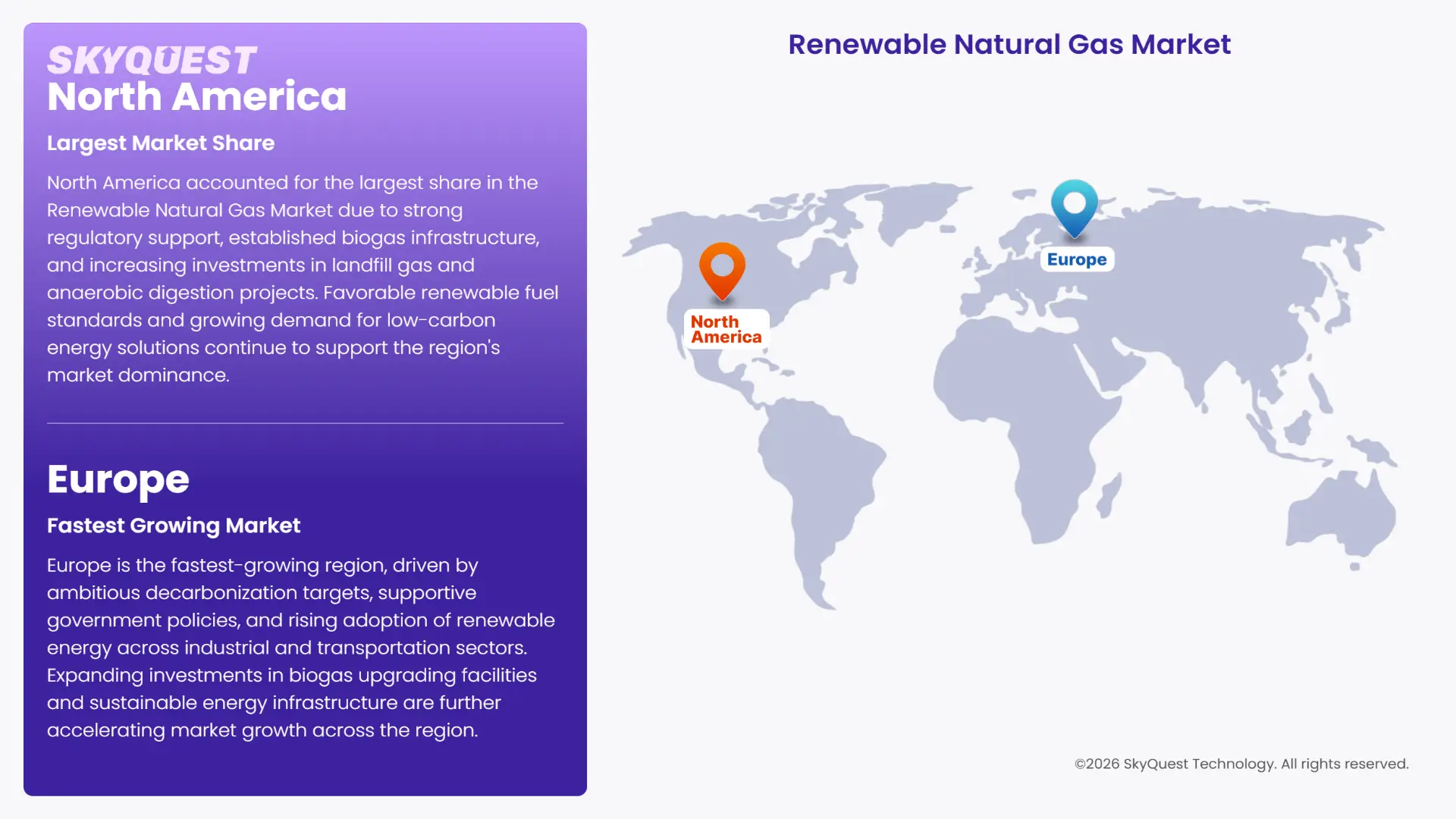 Renewable Natural Gas Market Regional Analysis