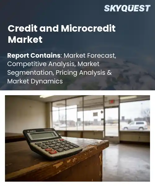 Credit and Microcredit Market