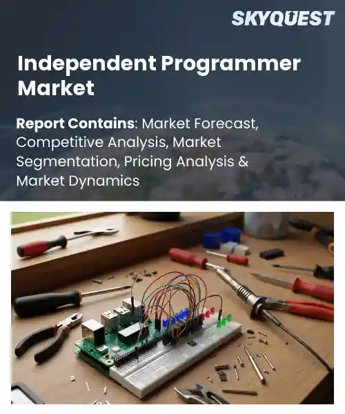 Independent Programmer Market