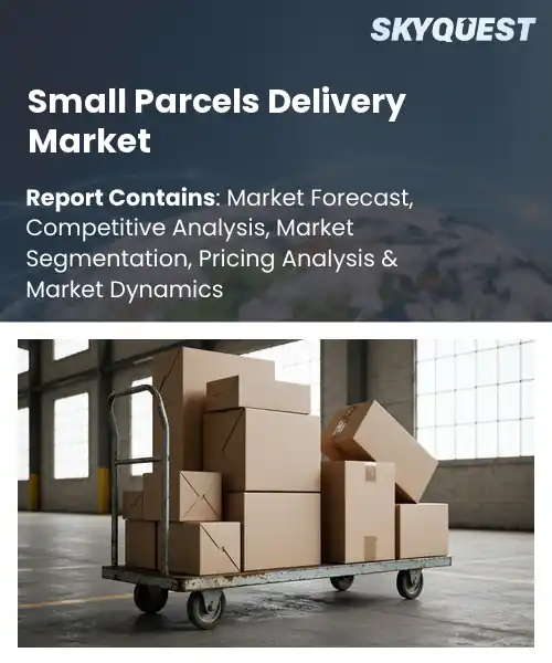 Small Parcels Delivery Market