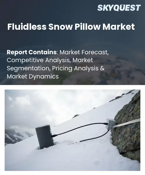 Fluidless Snow Pillow Market