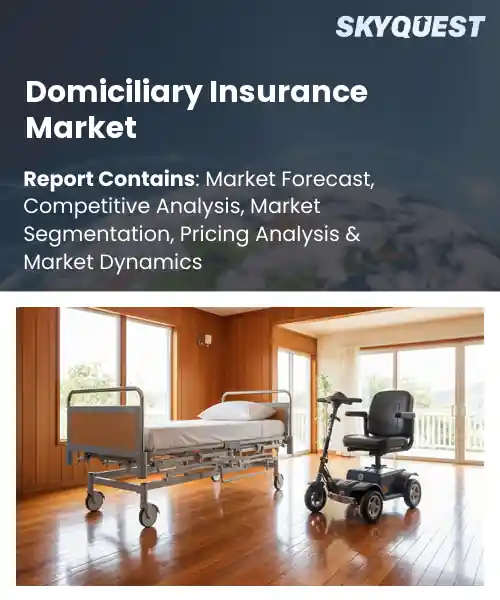 Domiciliary Insurance Market