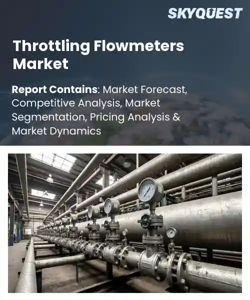 Throttling Flowmeters Market