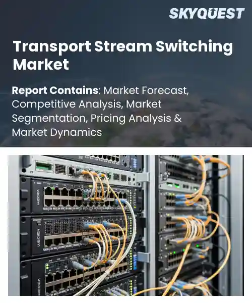 Transport Stream Switching Market