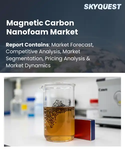 Magnetic Carbon Nanofoam Market
