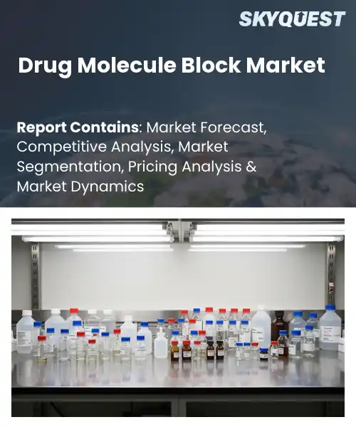 Drug Molecule Block Market