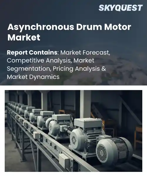 Asynchronous Drum Motor Market