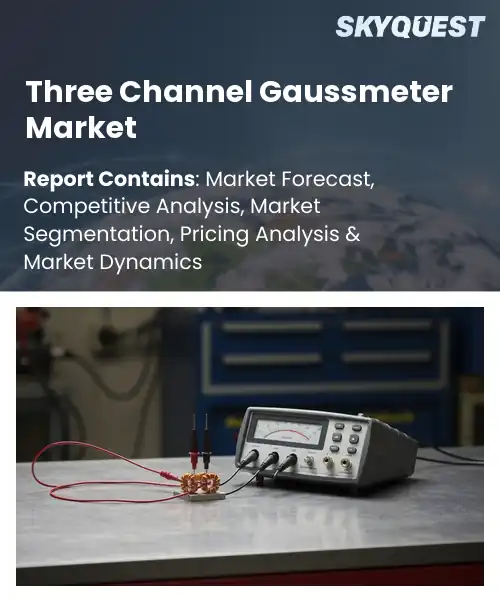 Three Channel Gaussmeter Market