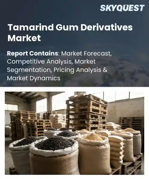 Tamarind Gum Derivatives Market