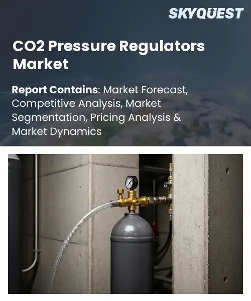 CO2 Pressure Regulators Market