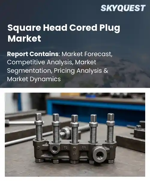 Square Head Cored Plug Market