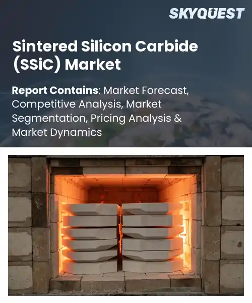 Sintered Silicon Carbide (SSiC) Market
