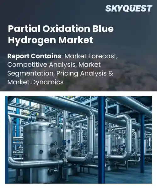 Partial Oxidation Blue Hydrogen Market