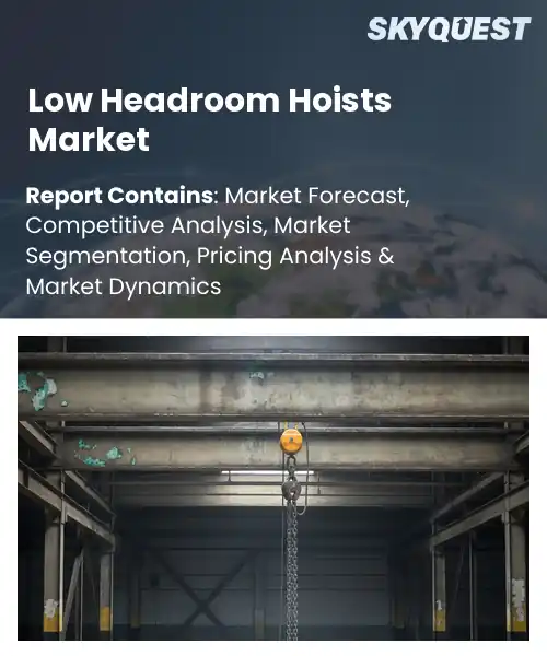Low Headroom Hoists Market