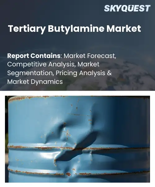 Tertiary Butylamine Market