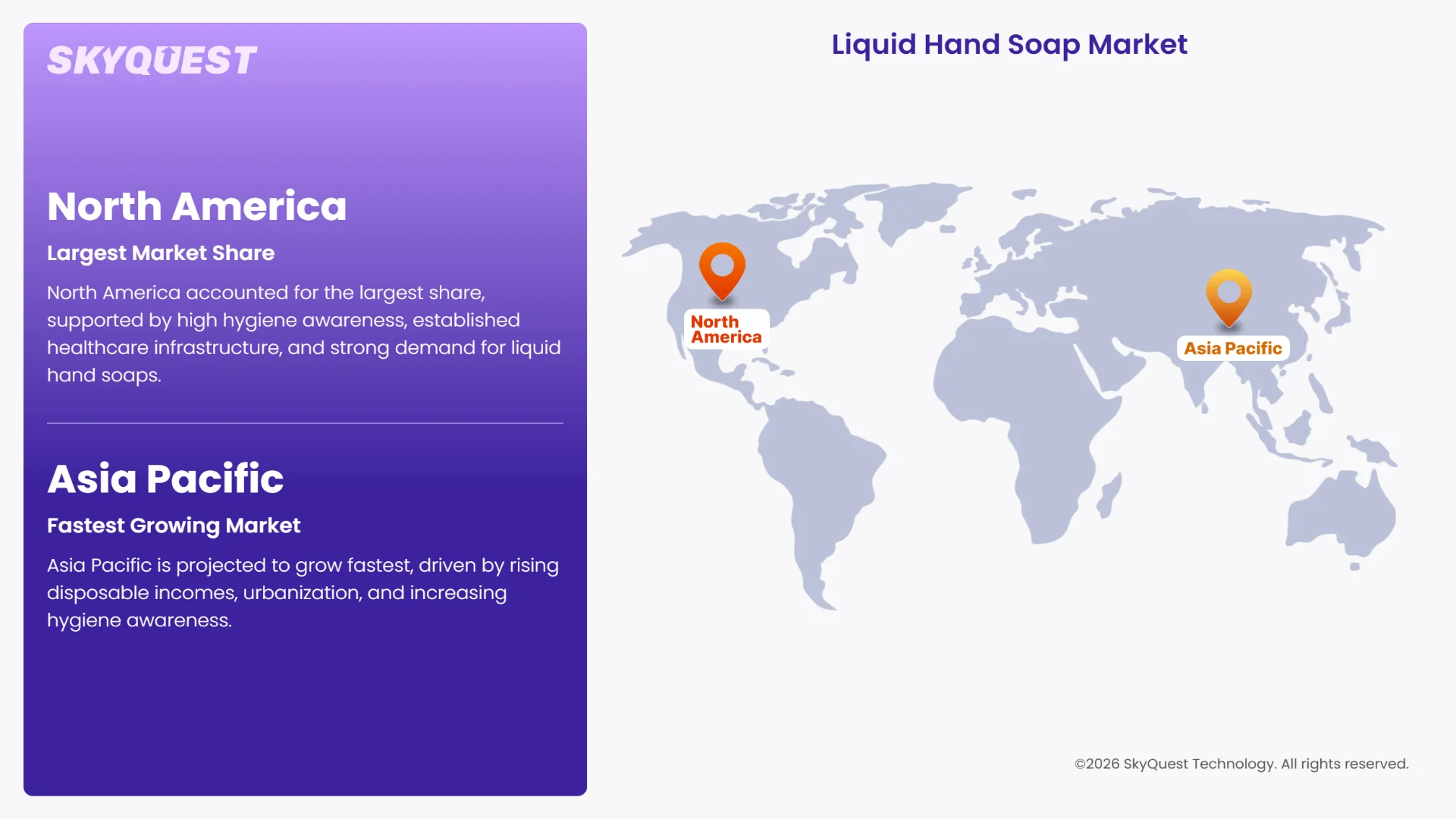 Liquid Hand Soap Market Regional Analysis