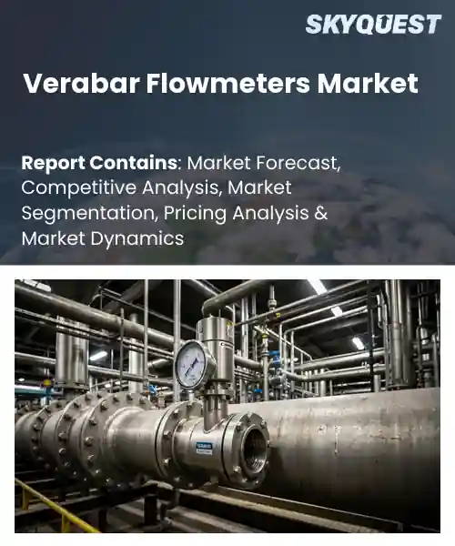 Verabar Flowmeters Market